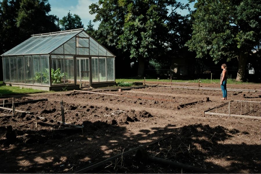 Родинна драма: Марія біля порожнього парника, діти продали розсаду та худобу.