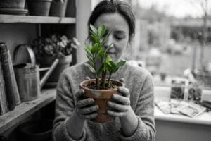Чорно-біле фото жінки, яка з ніжністю тримає горщик із яскраво-зеленим заміокулькасом. Контраст кольорової рослини та монохромного фону підкреслює заспокійливий ефект садівництва.